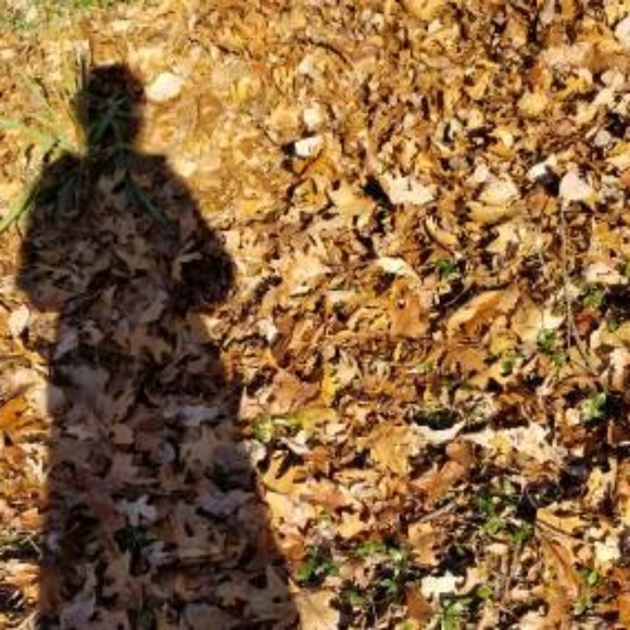 Meet your Posher, Rachael - Picture 1 of 1